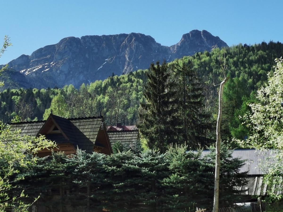 Willa Senator Zakopane Exteriér fotografie