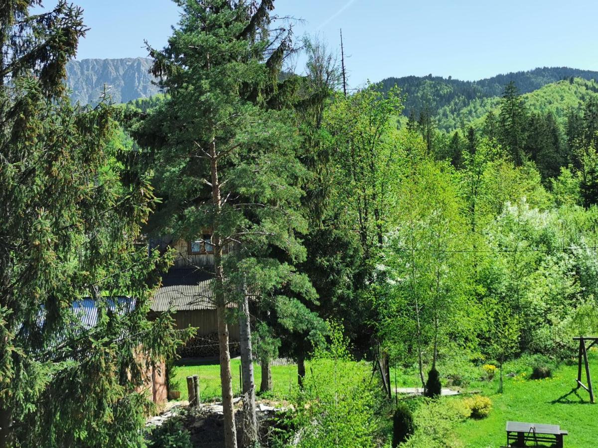Willa Senator Zakopane Exteriér fotografie
